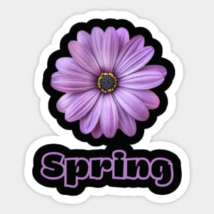 Spring Flower Sticker